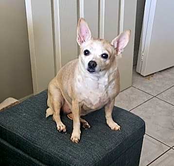 Photo of NONA