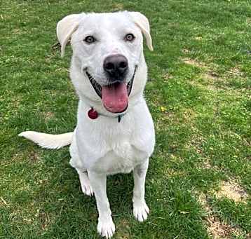 Photo of Casper