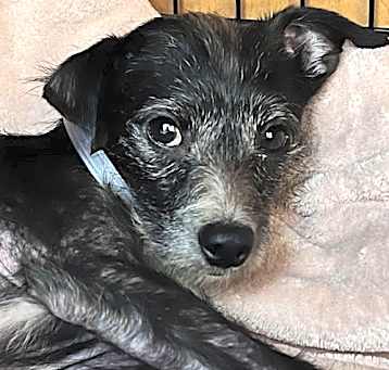 Photo of Wilbert 300522