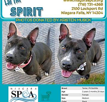 Photo of Spirit