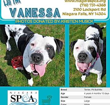 Photo of Vanessa