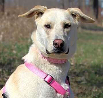 Photo of Bella