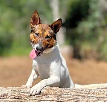 Photo of Lulu