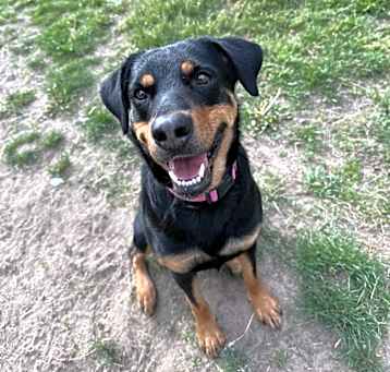 Photo of Zoe