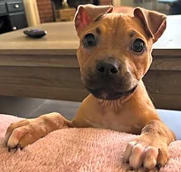 Photo of Lexi
