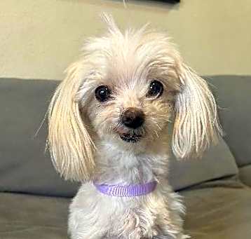 Photo of Tiny