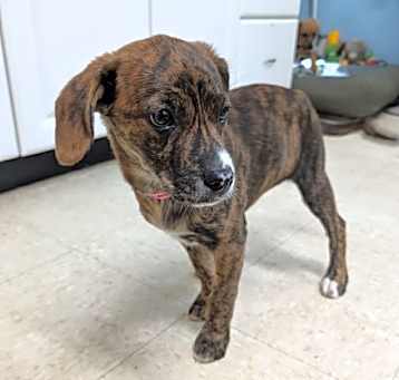 Photo of Wilma