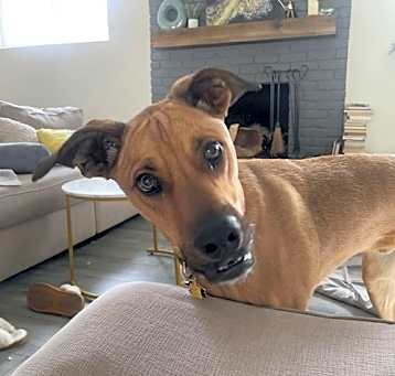Photo of BOOGER