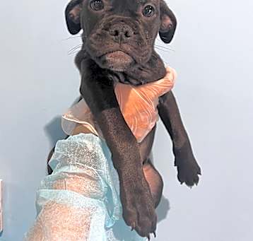 Photo of Bundle
