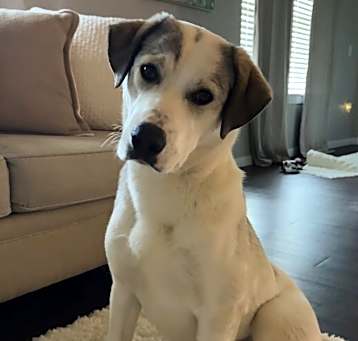 Photo of Lilli
