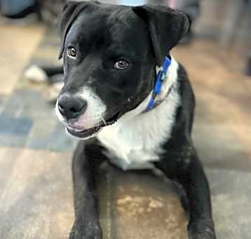 Photo of Tyco