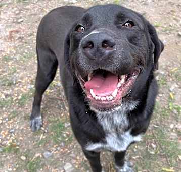 Photo of DeeDee