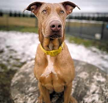 Photo of Lulu