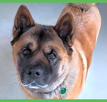 Photo of Keiko