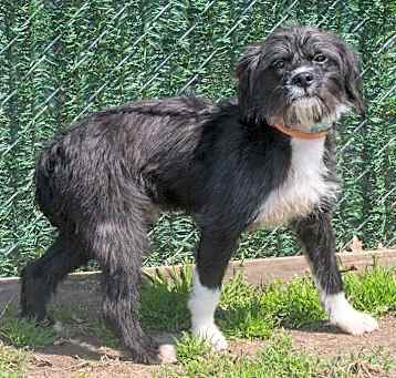 Photo of Teddy