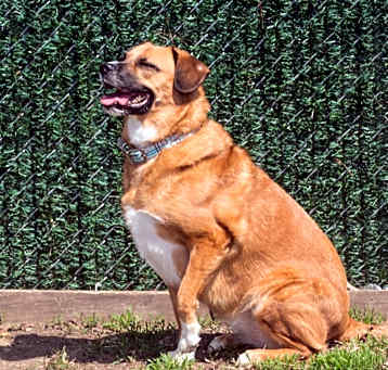 Photo of Zoey