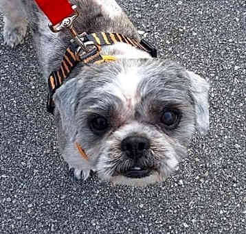 Photo of TURBO