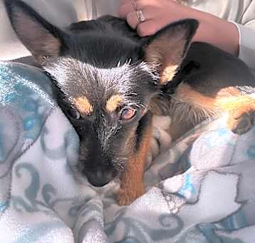 Photo of Lucy