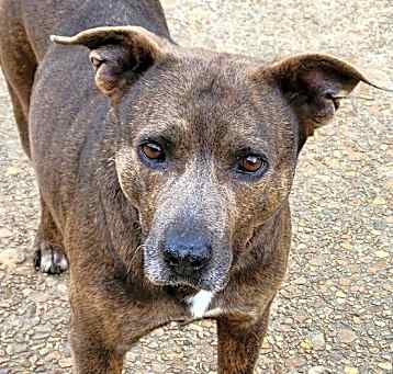 Photo of MOCHA