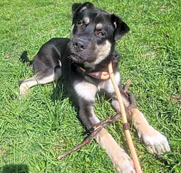 Photo of Baby Girl