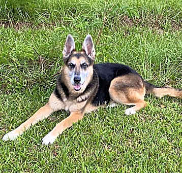 Photo of Odin