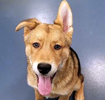 Photo of Murphy 7201