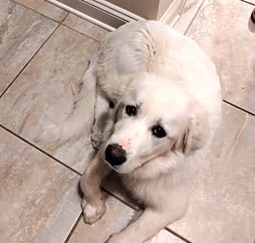 Photo of Molly May