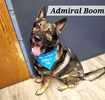 Photo of Admiral Boom