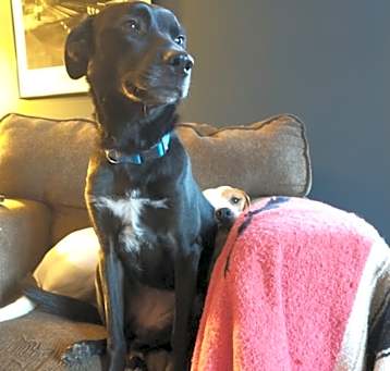 Photo of Amelie