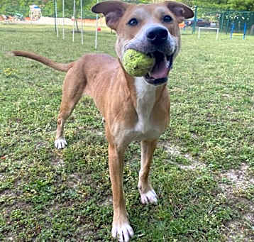 Photo of Nora