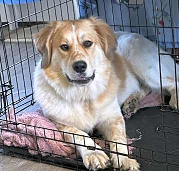 Photo of Lucy