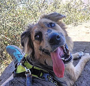 Photo of Oakley
