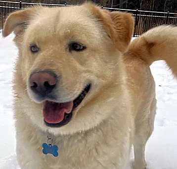 Photo of lucky
