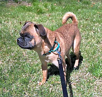 Photo of Skippy