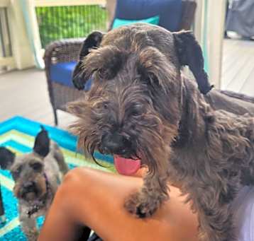 Photo of Marley & Bailey