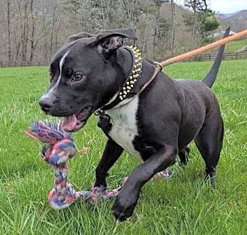 Photo of Fury