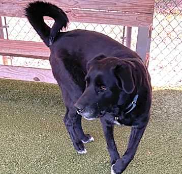 Photo of Sentry