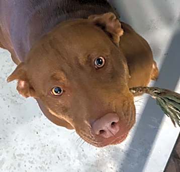Photo of Lilah