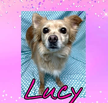 Photo of Lucy
