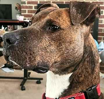 Photo of Patch