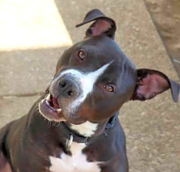 Photo of Gus