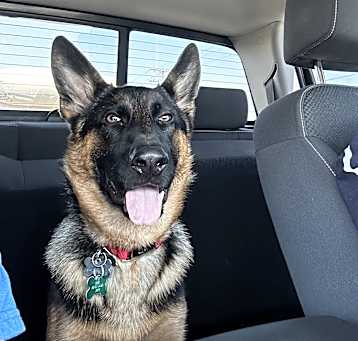 Photo of Zeus