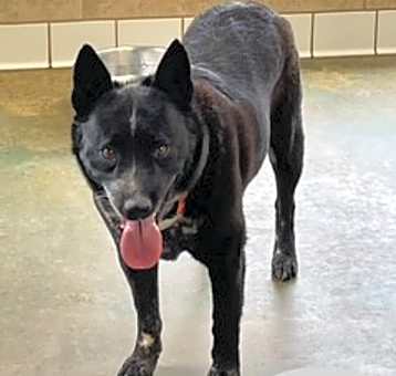 Photo of Blu