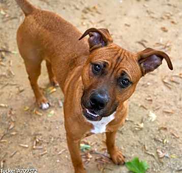 Photo of TUCKER
