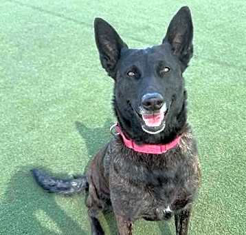 Photo of ROXY