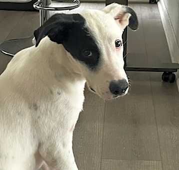 Photo of Mellow
