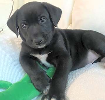 Photo of Colby