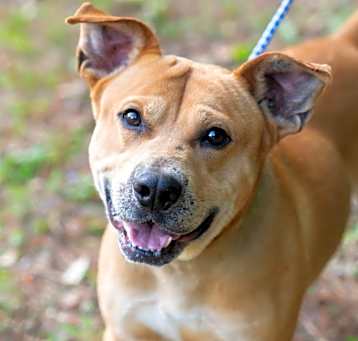 Photo of DALE- 29756
