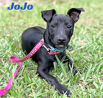 Photo of JOJO