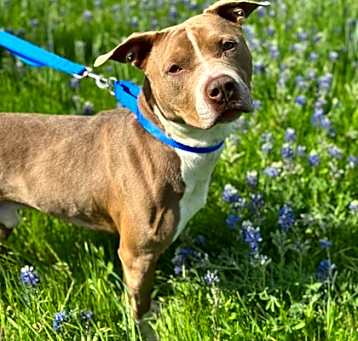 Photo of Hercules